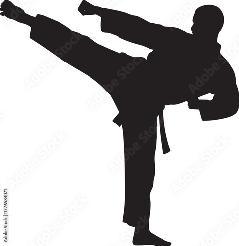 Martial artist silhouette performing powerful high side kick during intense karate training session