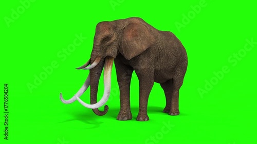 3d Illustration of The Majestic Wild Elephant in Motion
