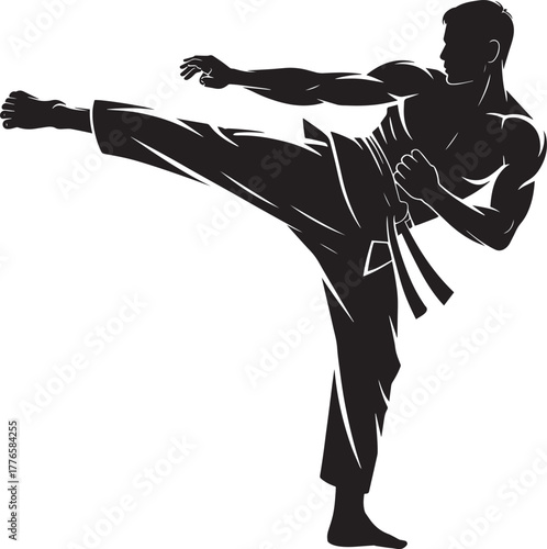 Professional fighter practicing high side kick powerful Taekwondo technique silhouette vector graphic