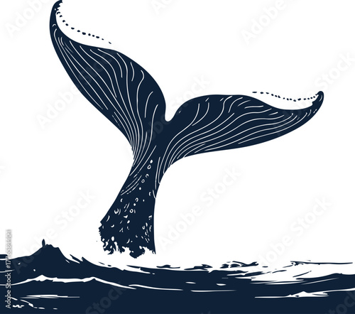 Bold line art of a whale tail splash