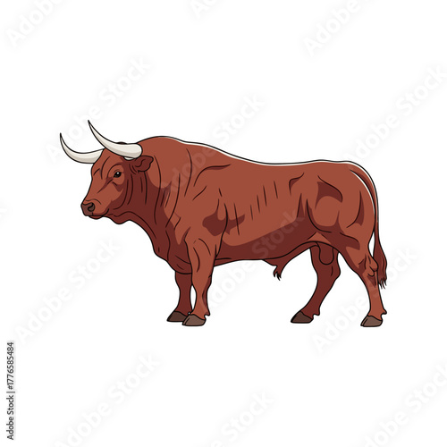 bull with a white background