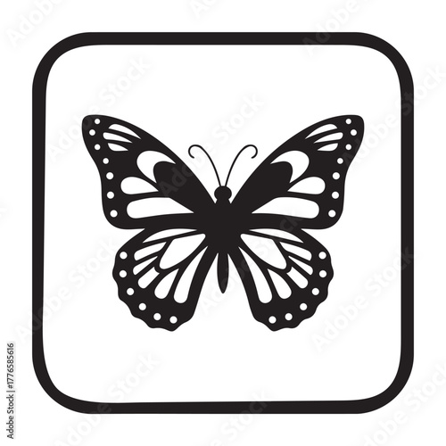 butterfly vector illustration