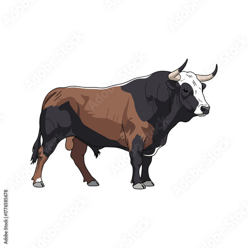 bull with a white background