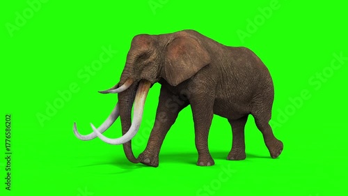 3d Illustration of The Majestic Wild Elephant in Motion