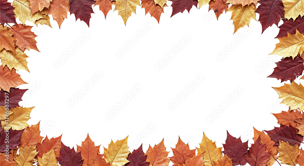 Obraz premium Autumn Leaves Border: A vibrant array of autumn leaves frames a central space. Leaves create a captivating border, perfect for conveying the beauty of the season. 