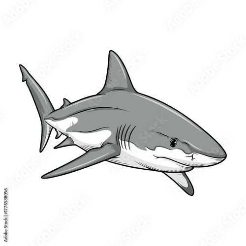 shark with a white background