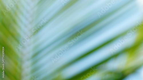 Foto The photograph uses impressionistic soft focus and strong motion blur to create