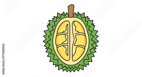 Illustration of a Cut Durian Fruit with Yellow Flesh.