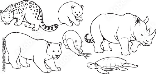 Collection of wild animals isolated on white background