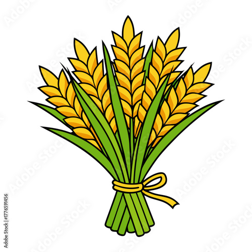 bunch of harvested paddy