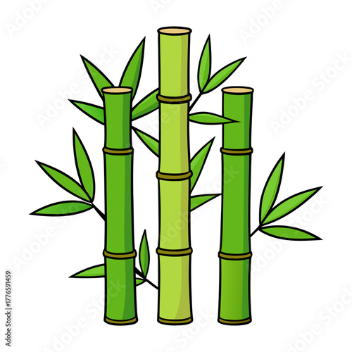 bamboo stalks with leaves vector illustration