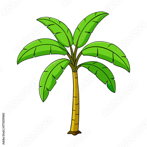 banana tree with broad leaves
