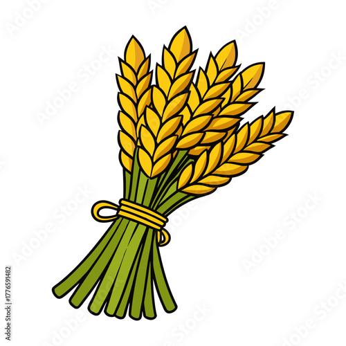 bundle of harvested rice stalks