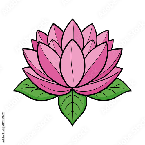 lotus flower fully bloomed vector illustration
