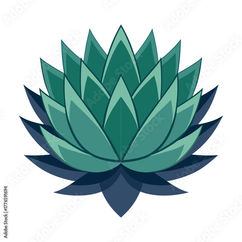 single agave plant rosette shape