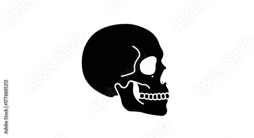 Illustration of a Black Skull in Profile View Against a White Background, a Symbol of Mortality and Danger