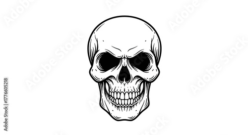 Monochrome Skull Illustration for Creepy Halloween Designs and Artwork