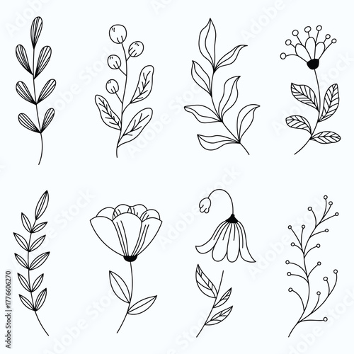 Hand-drawn botanical elements: leaves, berries, and flowers, sketched floral sprigs for design