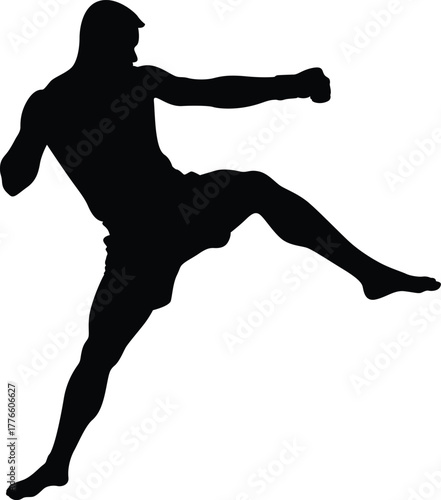 Silhouette of a male martial artist performing a powerful side kick in a dynamic fighting pose