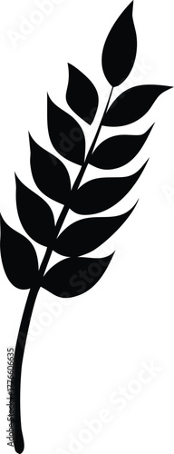 silhouette of a plant