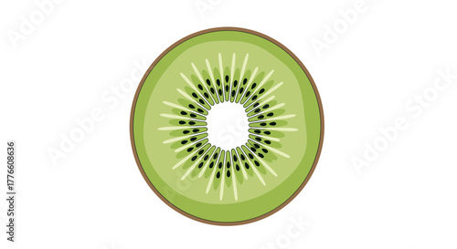 Slice of kiwi fruit with seeds and green flesh.
