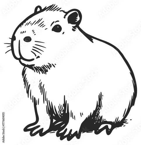 A cute guinea pig looks away and smiles