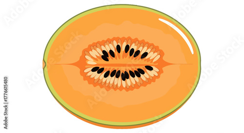 Half cut cantaloupe melon showing seeds and orange flesh for healthy eating.