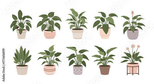 A collection of various potted green houseplants in different decorative pots, featuring a minimalist and modern flat design style on a white background.