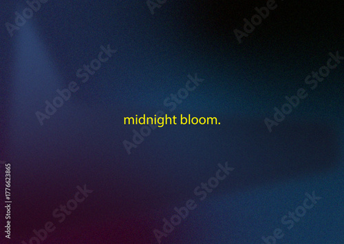 Midnight Bloom Gradient