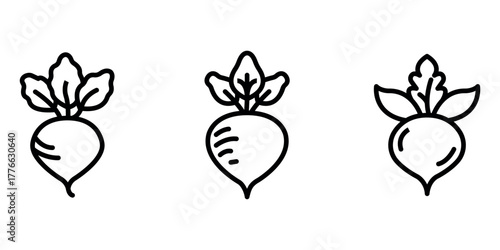 turnip outline or line icon design bundle.