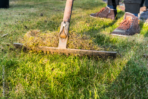 Cleaning up the grass with a rake. Aerating and scarifying the lawn in the garden.
