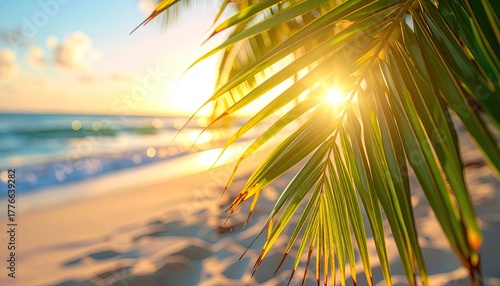 Fototapeta Naklejka Na Ścianę i Meble -  Golden Sun Shining Through Lush Green Palm Fronds Over a Pristine Tropical Coastline with Turquoise Water and White Sand Beach at Sunrise
