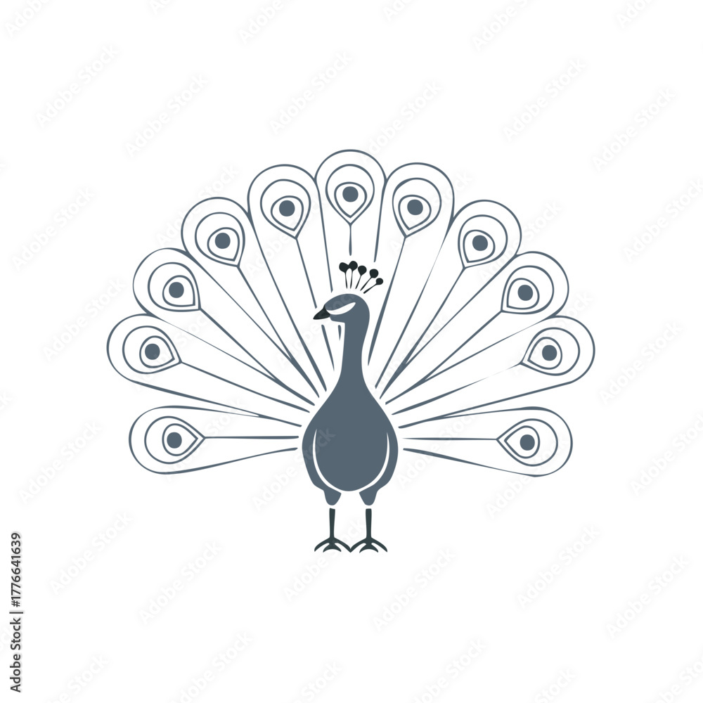 Fototapeta premium Elegant Peacock Bird Displaying Its Tail Feathers in Stylized Outline