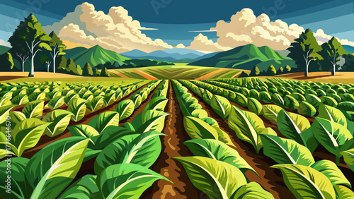 Very beautiful landscape of a tobacco field in Kentucky, showcasing neatly arranged rows of lush green tobacco plants under a bright sunny sky, capturing the essence of rural American farmland.