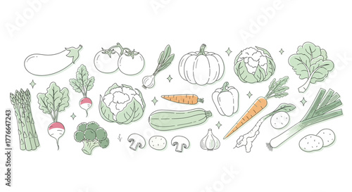 Hand drawn vegetables isolated on white background in vintage style set