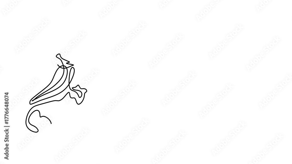 custom made wallpaper toronto digitalAnimated self drawing of continuous line draw Fried crispy chicken legs. Hot delicious American fried chickens  Full length one line animation. 4K