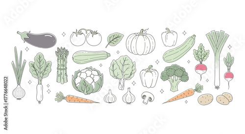 Hand drawn vegetables isolated on white background in vintage style set