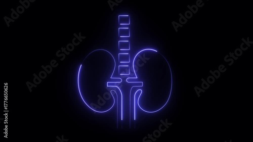 Neon kidney icon HD video animation.Glowing Human kidney icon animation on a black background.4k