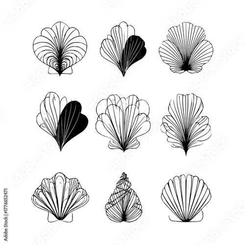 Nine sketched seashells in various shapes and orientations in a monochromatic black and white drawing