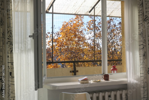 open window in the bright autumn morning with garden view 2