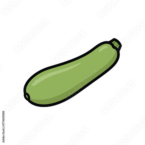 Fresh whole zucchini vegetable healthy produce illustration
