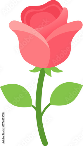 pink dahlia, yellow sunflower, pink daisy, pink hibiscus, white daisy, yellow pansy, purple primrose, pink rose,  snowflake, leaf, sun, maple leaf, snowflake, leaf, sun, maple leaf