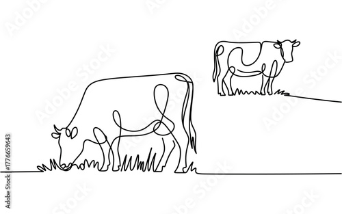 Two cows, one grazing and one standing, depicted in a minimalist continuous line art style on a white background.