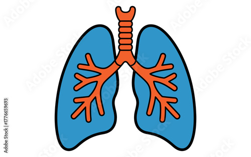 Stylized illustration of human lungs and trachea, symbolizing respiratory health and breathing.