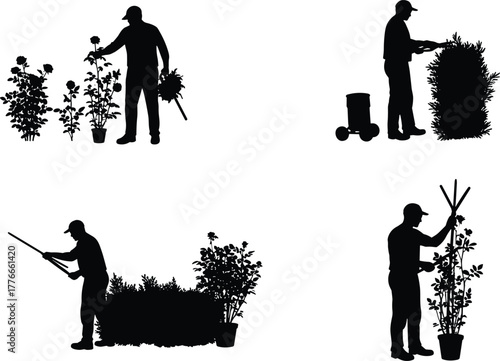 Silhouette gardener watering plants, trimming hedge, pruning bushes, cutting flowers, horticulture maintenance, landscaping tools, outdoor gardening activity, plant care,