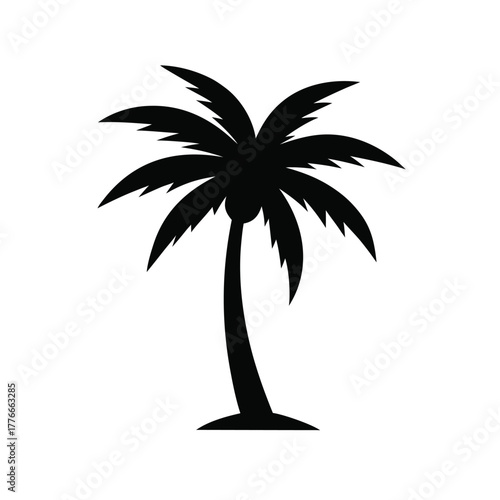 silhouette of palm tree