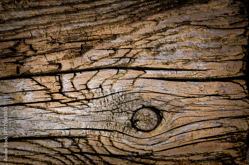This scene showcases the surface of aged wood, highlighting its unique grain patterns and rough texture illuminated by natural daylight. The wood appears rustic and timeless.