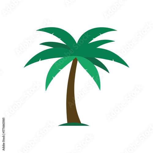 palm tree vector illustration