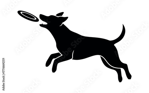 Energetic dog leaps to catch a frisbee in mid-air, silhouetted against a white background.