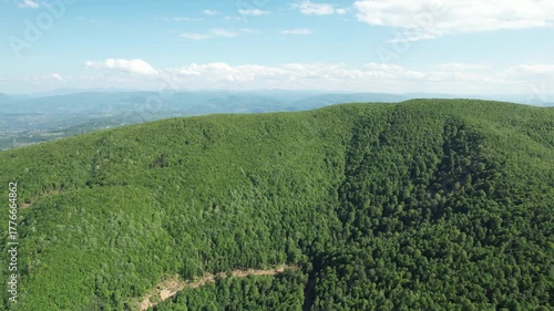 Aerial Drone Footage Ascending Over Lush Green Mountain Forest – Scenic Nature Landscape in Summer
